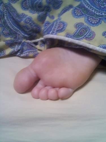 found this on computer (sleepy toes)